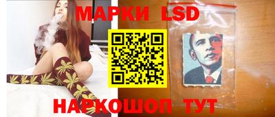 прущие грибы Долгопрудный
