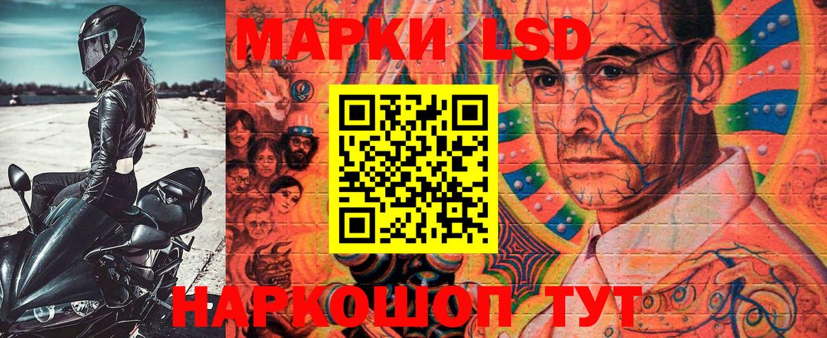 Сланцы  Наркотические марки 1500мкг  Вход с VPN 