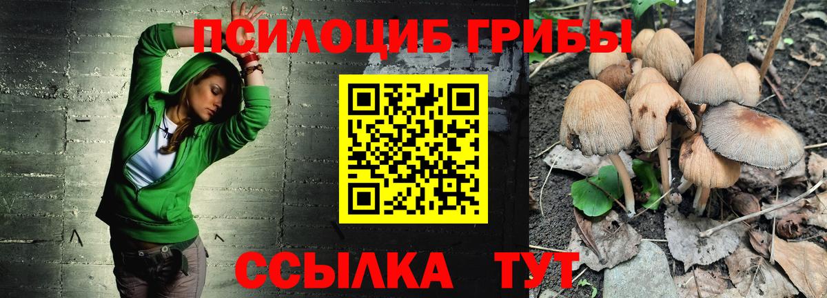Псилоцибиновые грибы GOLDEN TEACHER Сланцы